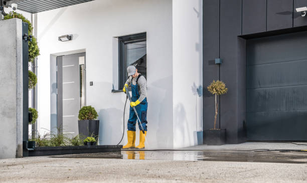 Best Soft Washing for Delicate Surfaces in Vancleave, MS